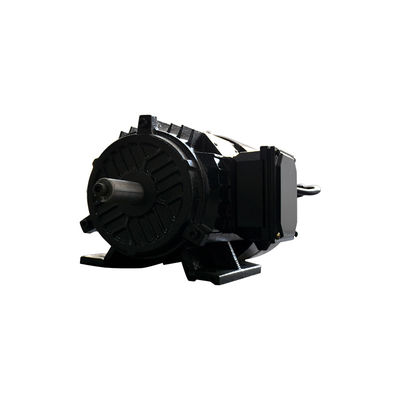 1500 - 3000rpm Rare Earth Permanent Magnet Motor For Powerful Applications